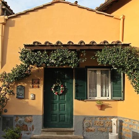 Casa Vacanze Nives Tuscania Exteriör bild